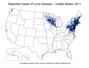 Lyme distribution