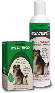 welactin-canine-product